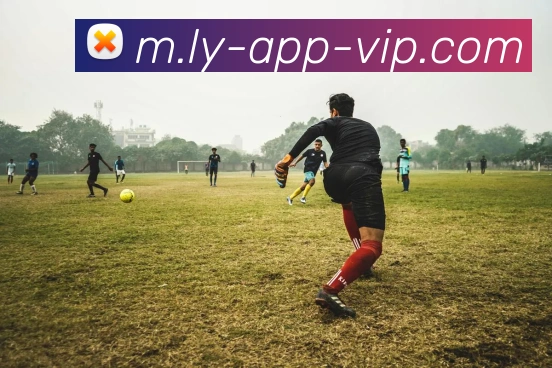 乐鱼体育发展历程