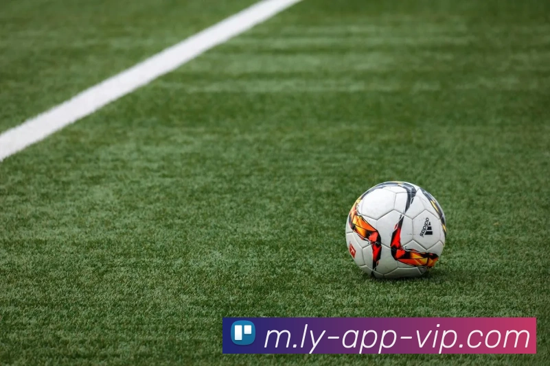 国安热身赛3-1战胜辽宁铁人新援孔特表现获赞引关注